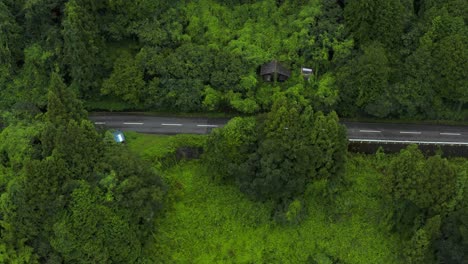 Aerial-top-down-drone-shot,-mountain-road-between-trees-in-Saijo,-Ehime-Japan