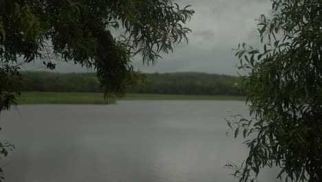 Un-Sereno-Lago-En-La-India,-Rodeado-De-Frondosos-árboles.