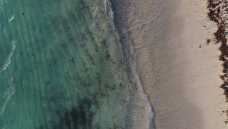 Zenital-Drohnenansicht:-Unberührter-Strand-Und-Kristallblaues-Wasser,-Eine-Ruhige-Küstenszene