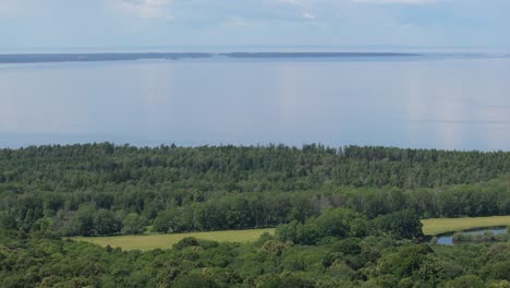 Üppige-Waldbäume-Und-Feuchtgebiete-Im-Steinbruch-Kinnekulle-Stenbrott-In-Schweden