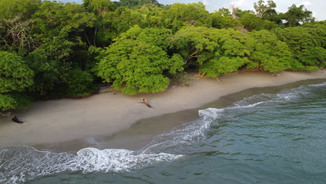 Aerial-view-of-a-person-sitting-alone-on-a-tropical-beach-in-Costa-Rica
