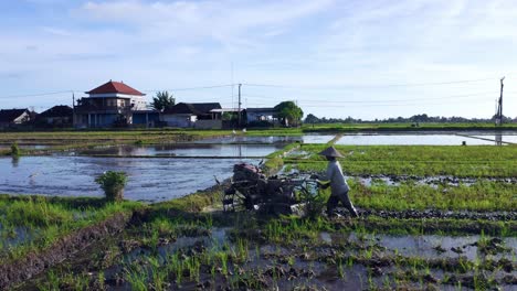 Farmer-With-Tractor-Plowing-Over-Paddy-Fields-Near-Seseh,-Bali-Indonesia
