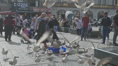 Tauben-Heben-Ab,-Während-Ein-Fischhändler-In-Zeitlupe-Auf-Einem-Belebten-Marktplatz-Eine-Kiste-übernimmt