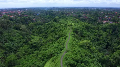 Increíble-Vegetación-Y-Bosque-Tropical-En-El-Paseo-Por-La-Cresta-De-Campuhan-En-Ubud,-Bali,-Indonesia