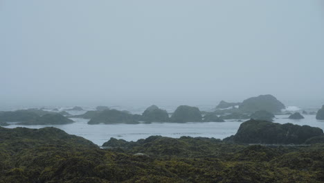 Waves-roll-into-rocks-on-foggy-coastline-in-moody-Pacific-Coast-USA