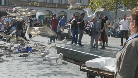 Zuschauer-Beobachten-Rasende-Tauben,-Die-Sich-In-Zeitlupe-Von-Fischresten-Ernähren,-Die-Auf-Dem-Marktplatz-Zurückgelassen-Wurden