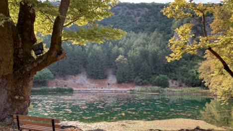 Bench-near-a-magnificent-nature-view-of-a-lake-and-pine-trees-in-Greece