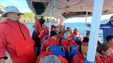 Bruny-Island,-Tasmania,-Australia---15-March-2019:-Passengers-watching-for-dolphins-on-a-high-speed-tourist-boat-near-Bruny-Island-in-Tasmania