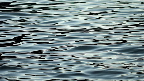 A-calm-water-surface-with-gentle-ripples