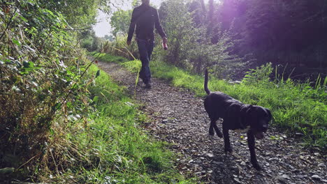 A-man-and-his-black-dog-off-its-lead-walking-along-a-canal-towpath-on-a-beautiful-autumn-sunny-afternoon