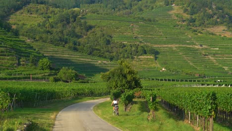 Los-Ciclistas-Descansan-En-Viñedos-En-La-Región-De-Wachau-En-Austria-Durante-La-Hora-Dorada.