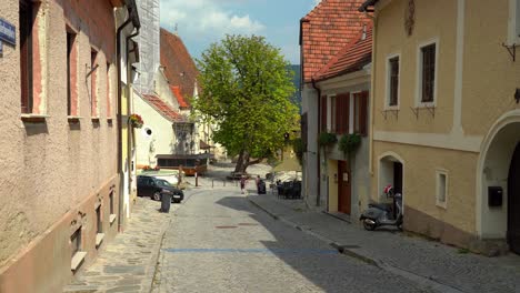 Iglesia-Parroquial-De-Spitz-An-Der-Donau-Ciudad-Comercial