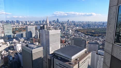 Blick-über-Die-Endlose-Skyline-Von-Tokio-An-Einem-Tag-Mit-Blauem-Himmel