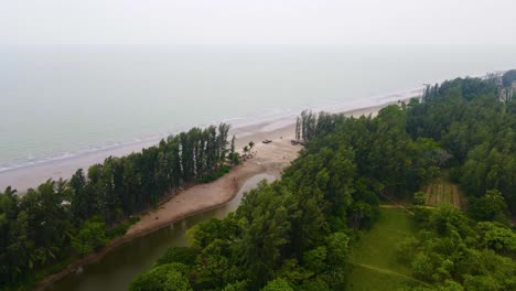 Jhau-Baumwald-Am-Ufer-Des-Kuakata-Meeresstrandes-Mit-Nebliger-Meereslandschaft-In-Bangladesch