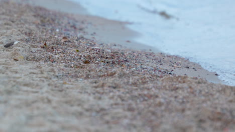 Soft-Focus-Sandy-Beach-and-Gentle-Waters