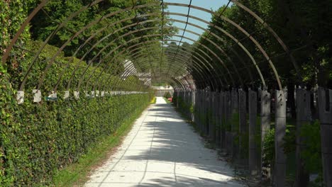 Estructura-De-Túnel-En-Los-Jardines-Del-Palacio-Mirabell-Hecha-Para-Que-Crezcan-Las-Plantas.