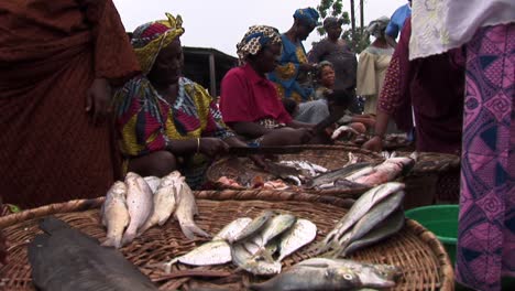Fischmarkt-In-Nigeria.-Frauen,-Die-Fisch-Hacken