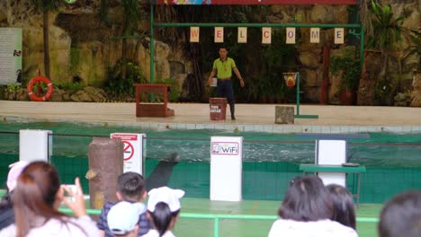 Robbenschau-Mit-Ihrem-Trainer-In-Einem-Zoo-In-Kuala-Lampur,-Malaysia
