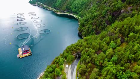 Aerial-footage-Farm-salmon-fishing-in-Norway