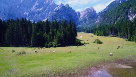Pferde-Grasen-Auf-Der-Grünen-Wiese.-See-Lago-Di-Fusine-Superiore,-Italien,-Alpen.-FPV-Drohnenflüge-Aus-Der-Luft.