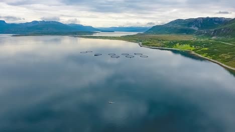 Luftaufnahmen-Von-Lachsfarmen-In-Norwegen