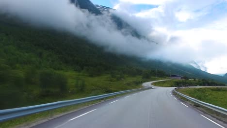 Conduciendo-Un-Coche-Por-Una-Carretera-De-Noruega.-Las-Vacas-Bloquearon-El-Paso-Al-Tráfico.