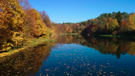 Buntes-Herbstwaldholz-Am-See