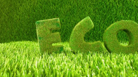 Letters-on-the-green-grass.-Eco-concept-background.