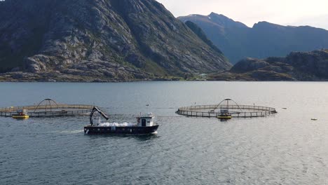 Pesca-De-Salmón-En-Granjas-En-Noruega