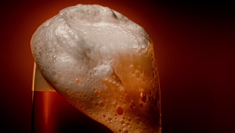 Lager-beer-settles-in-the-glass-with-a-white-cap-of-foam