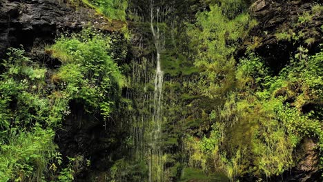 Limpia-Pequeña-Cascada-En-El-Bosque.-Hermosa-Naturaleza-Paisaje-Natural-De-Noruega.