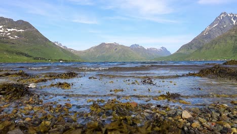 Wunderschöne-Natur-Der-Norwegischen-Lofoten-Inseln