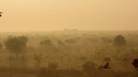 Vögel-Bei-Sonnenaufgang-Auf-Dem-Hintergrund-Der-Wunderschönen-Natur-Indiens-In-Zeitlupe.-Rajasthan,-Indien.
