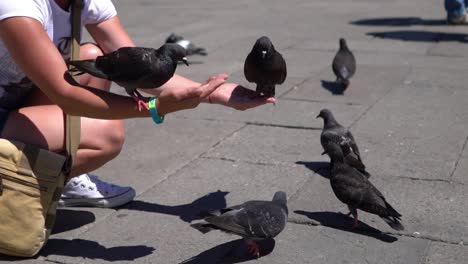 Touristin-Füttert-Tauben-Auf-Dem-Platz---St.-Marks-Square---Venedig,-Italien