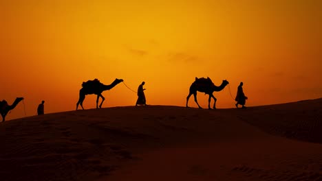 Cameleers,-camel-Drivers-at-sunset-in-slow-motion.-Thar-desert-on-sunset-Jaisalmer,-Rajasthan,-India.