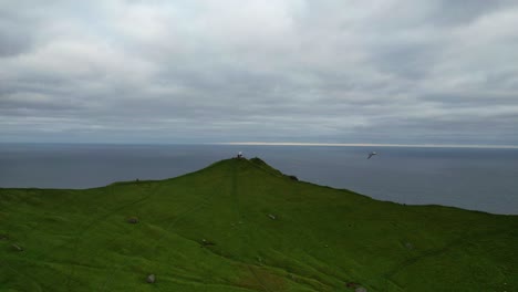 Aerial-backward-drone-of-seagull-over-cliff-in-Kalsoy,-Faroe-Islands