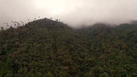 Dramatic-spooky-tropical-mountain-covered-by-palms