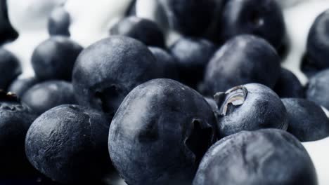 Macro-video-of-blueberries-covered-with-yoghurt