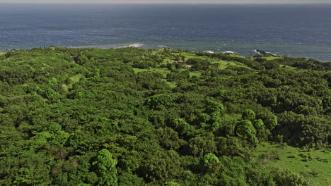 Maui-Hawaii-Aerial-v48-drone-flyover-Haleakala-National-Park-towards-Kipahulu-Visitor-Center-capturing-dense-lush-tropical-vegetations-and-pacific-ocean-views---Shot-with-Mavic-3-Cine---December-2022