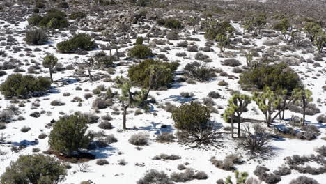 Aerial-view-of-the-Joshua-Tree-Desert-covered-with-snow