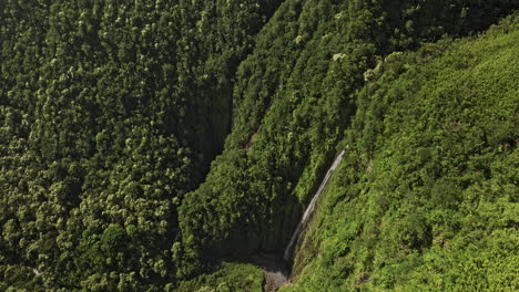 Maui-Hawaii-Aerial-v46-birds-eye-view,-flyover-ʻoheʻo-Gulch,-Palikea-stream-capturing-400-foot-Waimoku-Falls-at-Kīpahulu-district-of-Haleakalā-National-Park---Shot-with-Mavic-3-Cine---December-2022