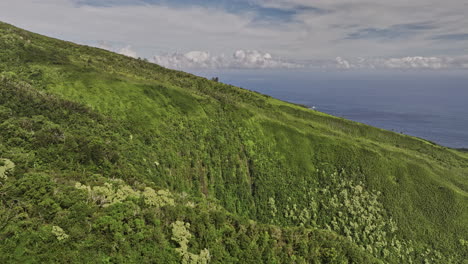Maui-Hawaii-Aerial-v45-drone-flyover-and-around-steep-gulch,-capturing-natural-beauty-of-Palikea-stream,-Waimoku-falls-and-lush-greenery-along-Palikea-trail---Shot-with-Mavic-3-Cine---December-2022