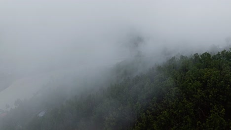 Wolken-Und-Nebel-über-Dem-Grünen-Wald-Mit-Dem-Fluss-Mo-Chhu-In-Punakha,-Bhutan