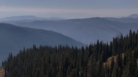 Über-Den-Dichten-Wäldern-Und-Rauchigen-Bergen-British-Columbias-Schwebend