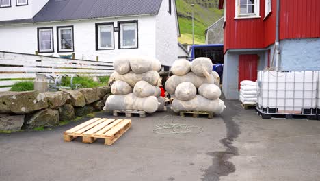 Statische-Aufnahme-Eines-Färöischen-Mannes-Auf-Der-Straße,-Der-Wollsäcke-Auf-Eine-Palette-Legt