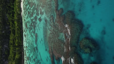 Vertical-aerial-over-the-Maré-Island-coastline-and-coral-reef,-Loyalty-Islands