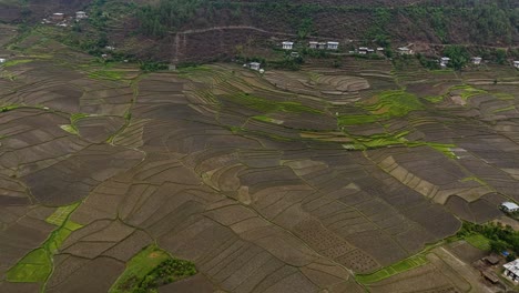 Luftaufnahme-Der-Reisterrassen-In-Punakha,-Bhutan