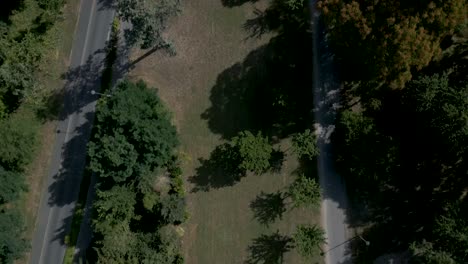 Tree-lined-and-quiet-roads.-Aerial-top-down-backward