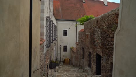 Stone-Path-in-Durnstein-town-on-the-banks-of-the-Danube