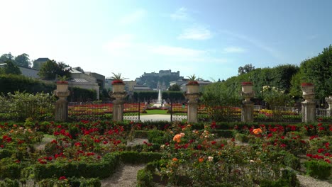 Wunderschöne-Gärten-Von-Schloss-Mirabell-Mit-Brunnen-In-Der-Mitte-Und-Der-Festung-Hohensalzburg-Im-Hintergrund